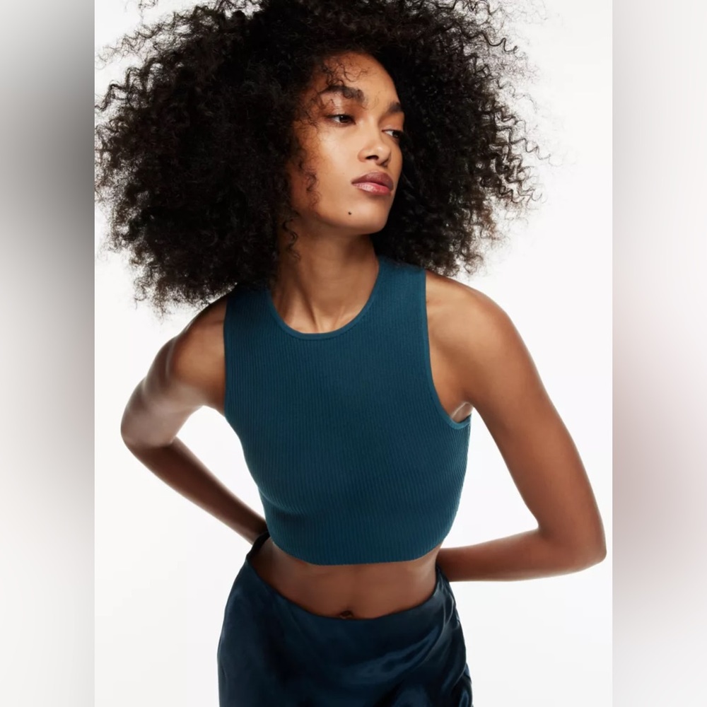 Babaton razorback crewneck crop top in knit